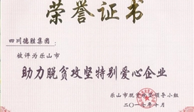 leyu乐鱼·官方web站登录入口钒钛：扬起追求的旗帜