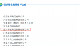 沙湾发布6月6日报道:钒钛荣获“绿色发展标杆企业”